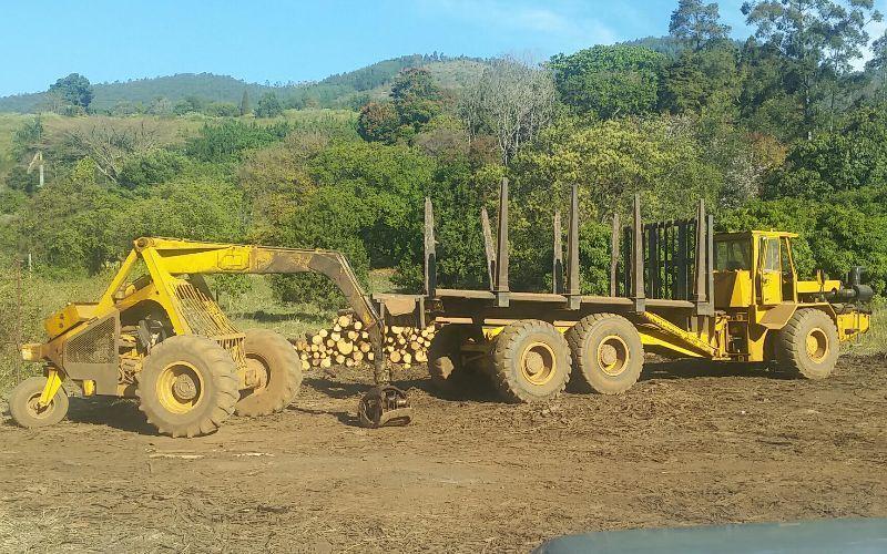 Bell Logger 225A & Bell T25 Hauler To Be Sold As Combination