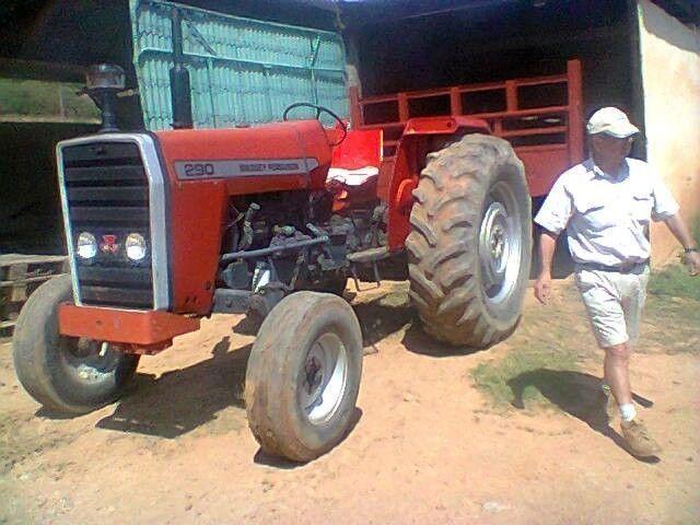 MF290 tractor