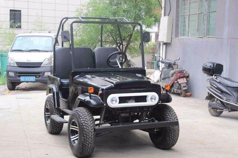 Land cruiser / Toyota / 4x4 / land rover / dune buggy / go cart / Jeep / quad bike / mustang