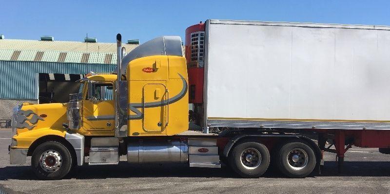 Peterbilt 377 (2 to choose from)