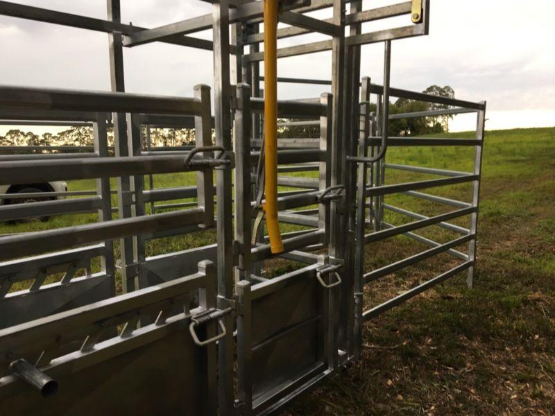 New Adjustable Cattle Ramp