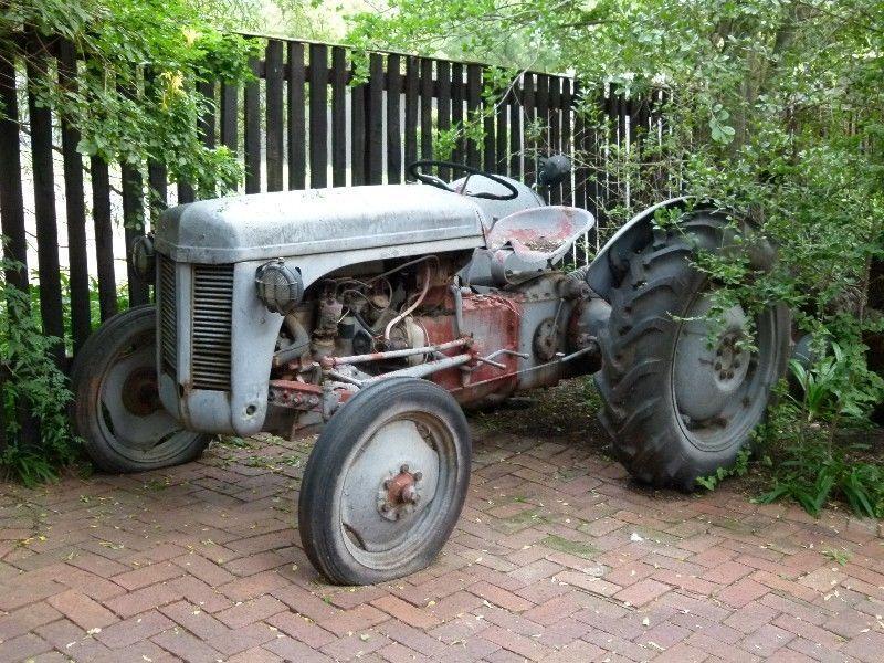 Tractor 1952 Ferguson Tractor Vintage