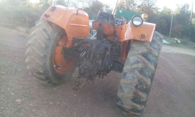 Fiat 1000 Tractor for sale in Grabouw