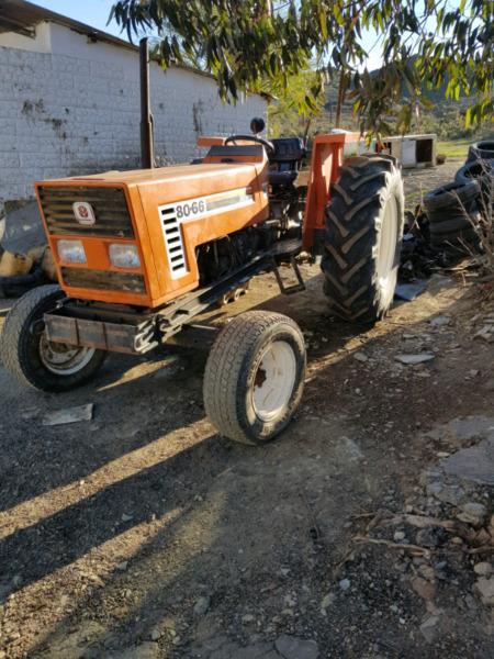 Fiat 80-66 Tractor for sale