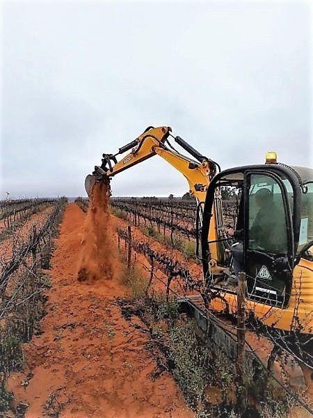JCB 8050RTS excavator (vineyard / orchard workhorse)